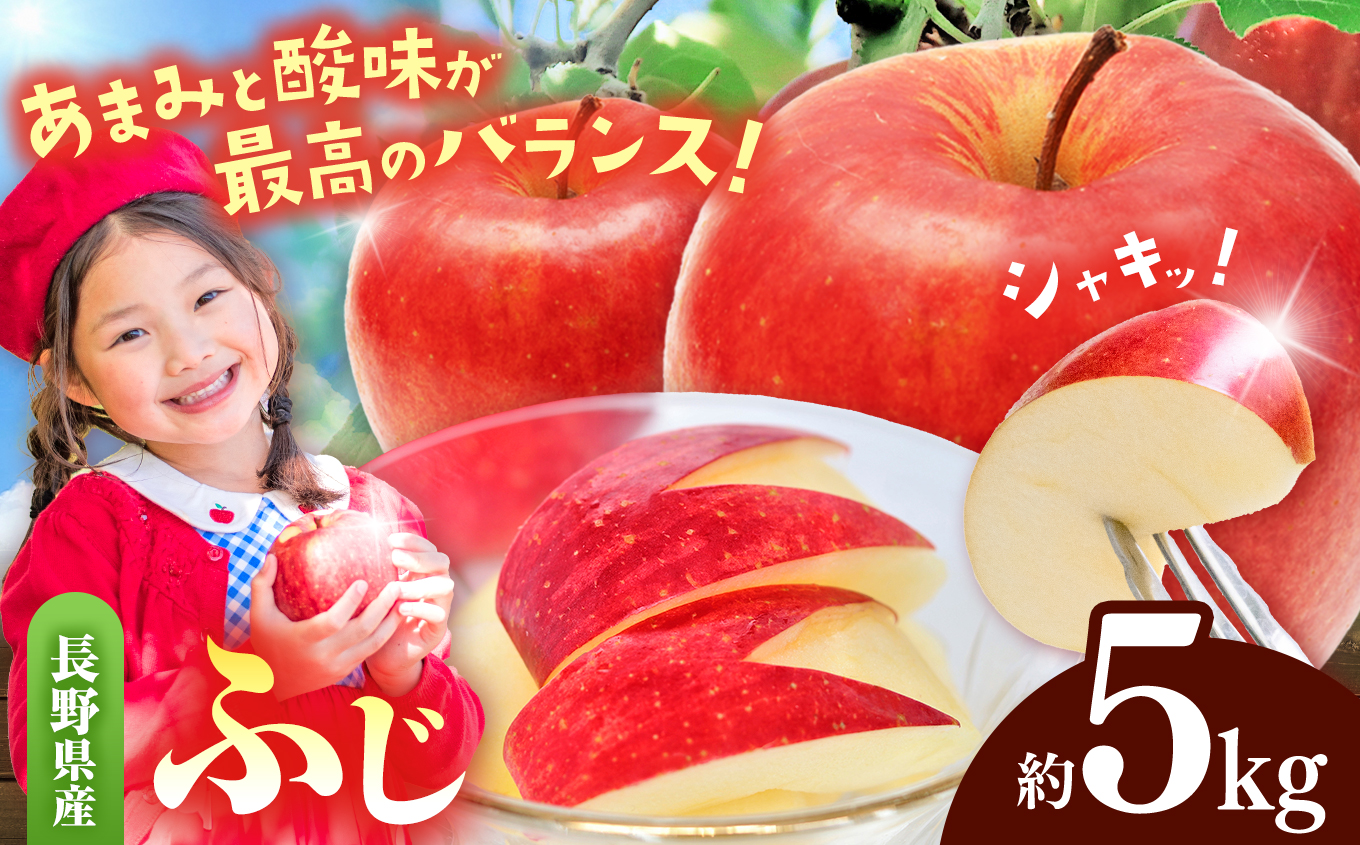 先行受付 令和8年産 有機肥料栽培 りんご ふじ 約5kg｜伊那 りんご ふじ フルーツ 果物 甘い 農園 林檎 ふるさと納税 長野県【011-05】