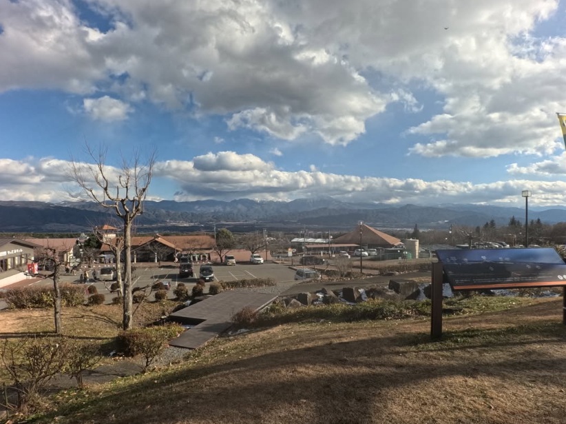 とうもろこし 伊那市産 スイートコーン 約5kg 2Lサイズ 12本入り サニーショコラ 【013-50】