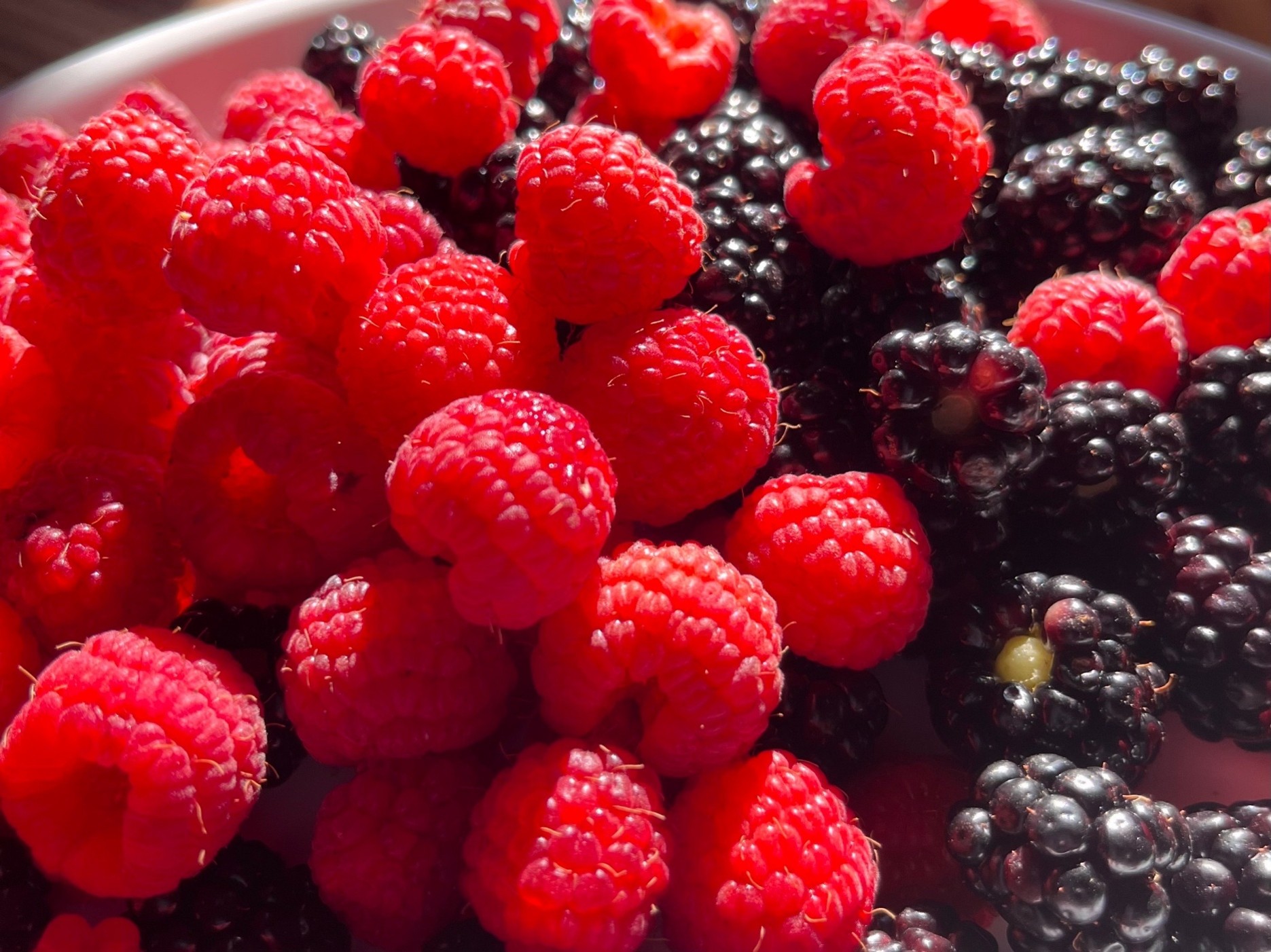 ジャム ベリー 信州 伊那産 完熟 ラズベリー ジャム 200g2個 セット | フルーツ ジャム ソース ラズベリー 完熟 つみたて 加工品 長野県 伊那市【009-45】