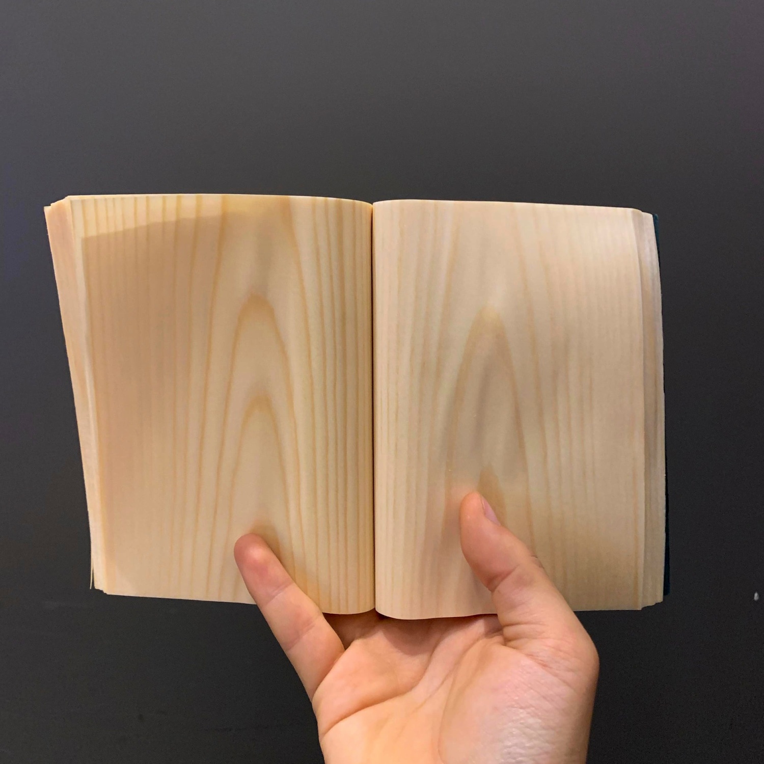 Shikibun 木のノート | 伊那市 信州 ふるさと納税 木材 木 ノート 文房具 経木【010-02】