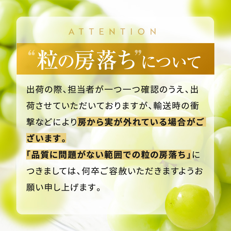 è¡è äŒé£åžç£ ã¶ã©ã ãã€ã¢ã¬ã© çŽ2kg 2026å¹Žç£ å
è¡äºçŽ | ãã€ã¢ã¬ã© ãã«ãŒã äŒé£åžç£ çš®æ åã¢ã«ãã¹ ä¿¡å· çã ã¶ã©ã è¡è çã é·éç äŒé£åž ãµãããšçŽçšã011-97ã