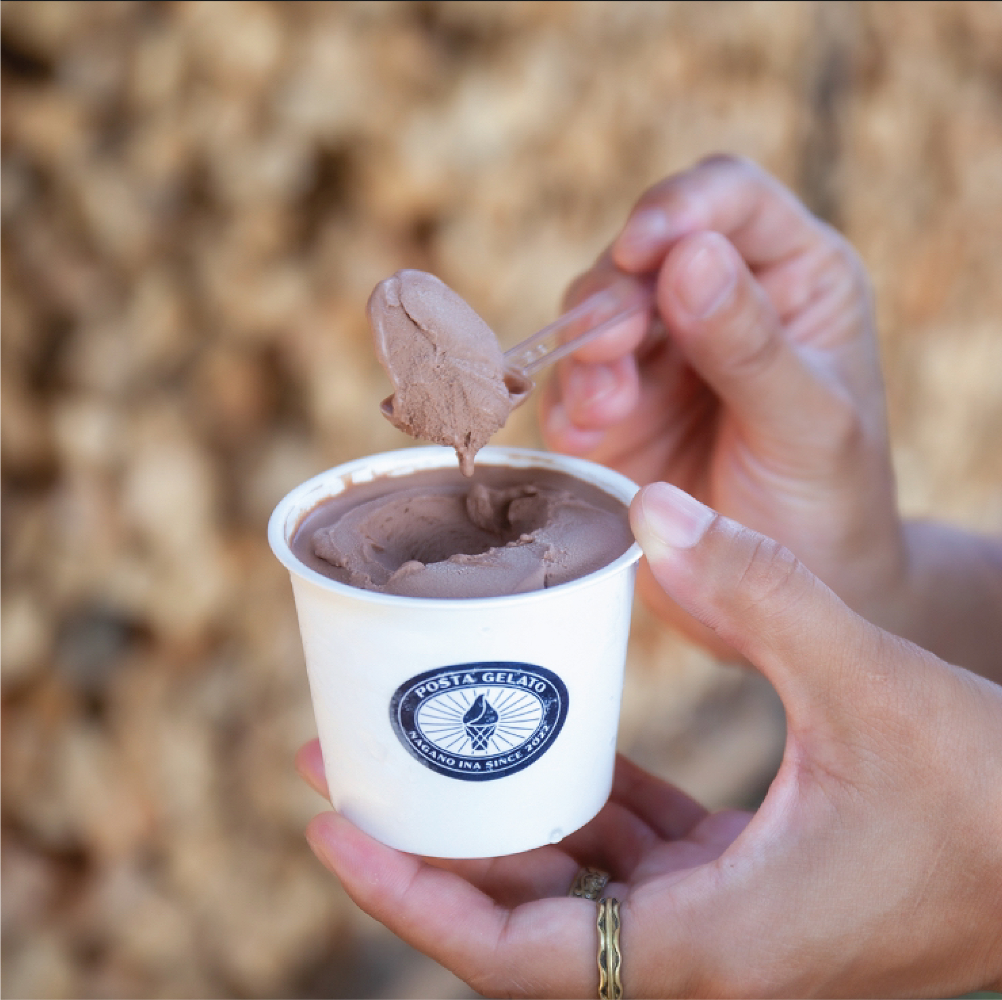 伊那 ご当地 人気 ジェラート 季節のおすすめ 130ml×8個セット（ミルク×1個、チョコレート×1個、宇治抹茶×1個、ココナッツパイン×1個他、季節のおすすめでランダム×4個）｜ジェラート アイス ご当地ジェラート 伊那ジェラート 伊那スイーツ 長野ジェラート 信州ジェラート 人気スイーツ 伊那 ふるさと納税【015-29】