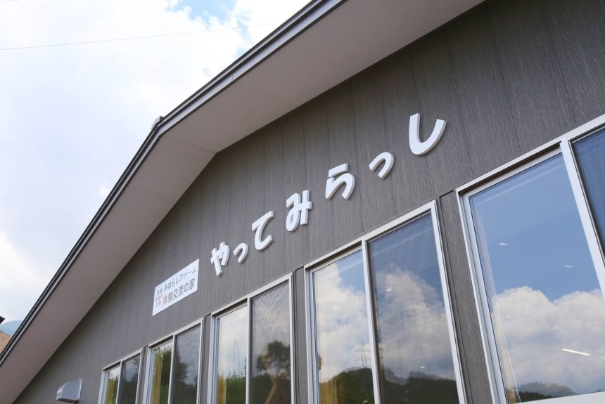 とうもろこし 伊那市産 スイートコーン 約5kg 2Lサイズ 12本入り 恵味 【013-52】