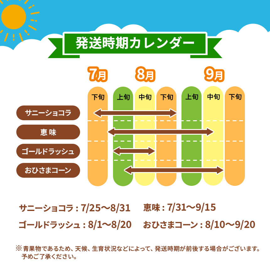 とうもろこし 伊那市産 スイートコーン 約5kg 2Lサイズ 12本入り サニーショコラ 【013-50】