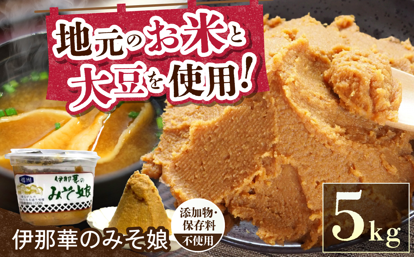 味噌 伊那華のみそ娘 みそ 5kg箱｜味噌 みそ 調味料 伊那 いな 長野県 ふるさと納税 大豆 お土産【017-11】