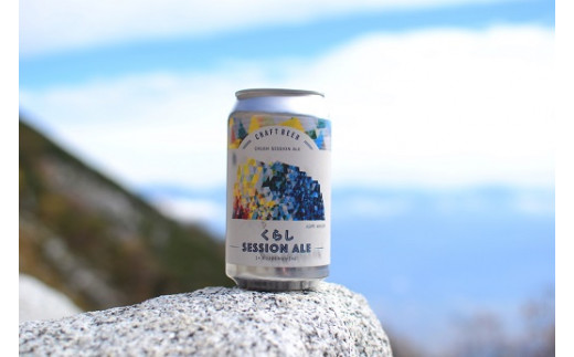 伊那で醸す こだわりの クラフトビール 6本セット 350mL缶×6本 | 伊那市 長野県 信州 クラフトビール スペシャル お酒 アルコール ビール[014-43]