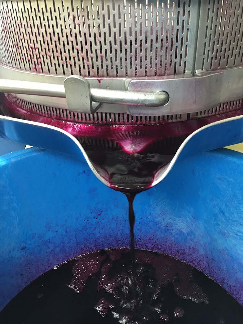 ブドウ ジュース ジャム 伊那市産 山ぶどうジュース 720ml 1本 ＆ 山ぶどうジャム 140g 2個 セット | 飲料 加工品 セット 山ぶどう 山葡萄 ぶどう 信州大学 信大W-3 ポリフェノール 伊那ブランド ふるさと納税 返礼品 信州産 長野県 伊那市 【013-54】