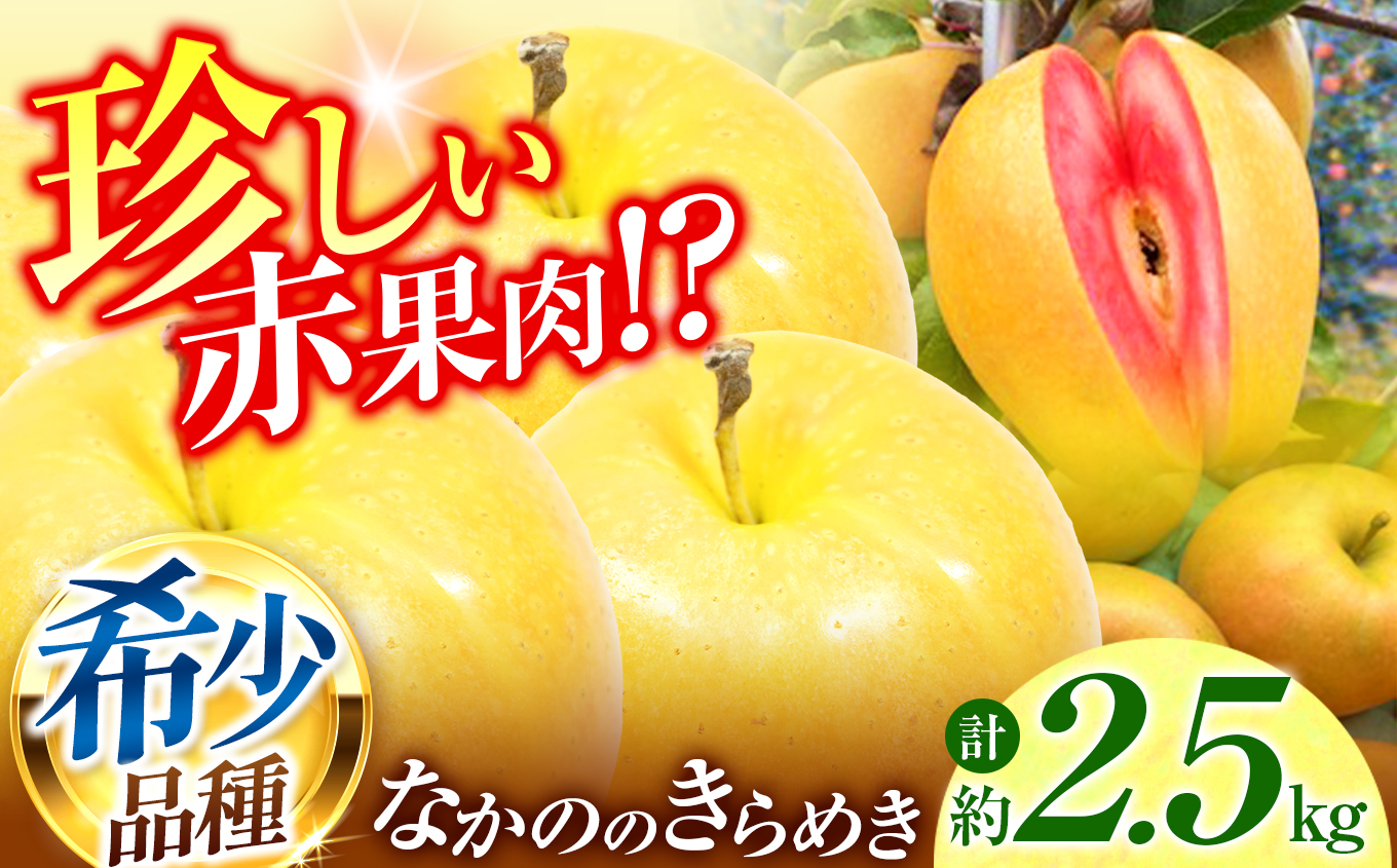 りんご 赤果肉りんご なかののきらめき 約2.5kg ｜ りんご 林檎 フルーツ 果物 なかののきらめき 赤果肉 こだわり 伊那 ふるさと納税 信州 長野県 【012-72】