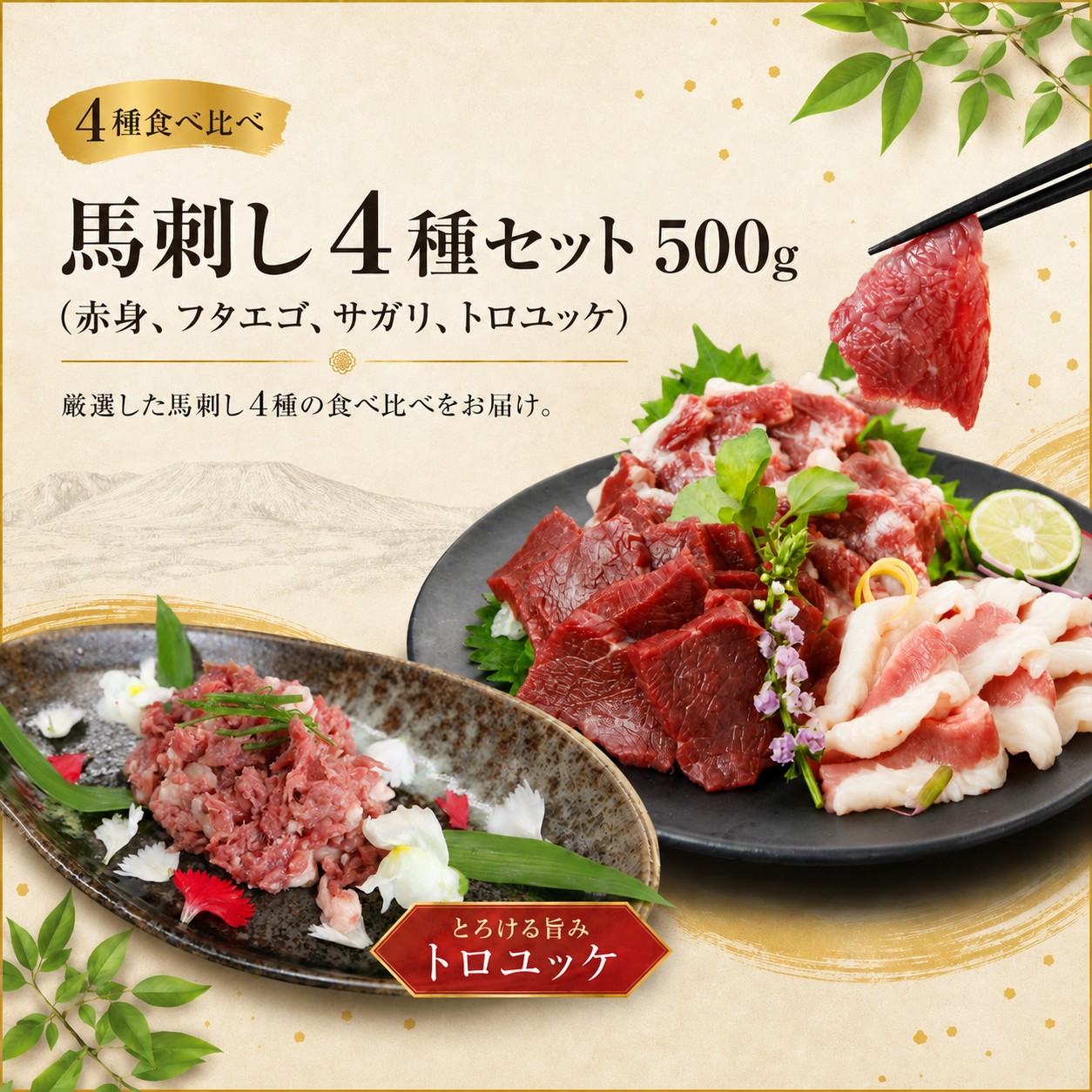 馬刺し 4種セット 500g（赤身、フタエゴ、サガリ、トロユッケ） 馬刺しの長野屋 | 馬刺し 赤身 タレ付き 鮮馬刺し 馬刺し 馬刺 長野 信州 馬肉 お肉 刺身 冷凍 真空パック 小分け 送料 無料 伊那 信州【017-31】