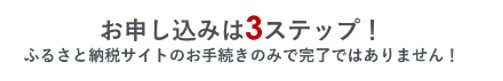 伊那市産CO２フリー電気（10,000円）（注：お申込み前に申込条件を必ずご確認ください）【010-87】
