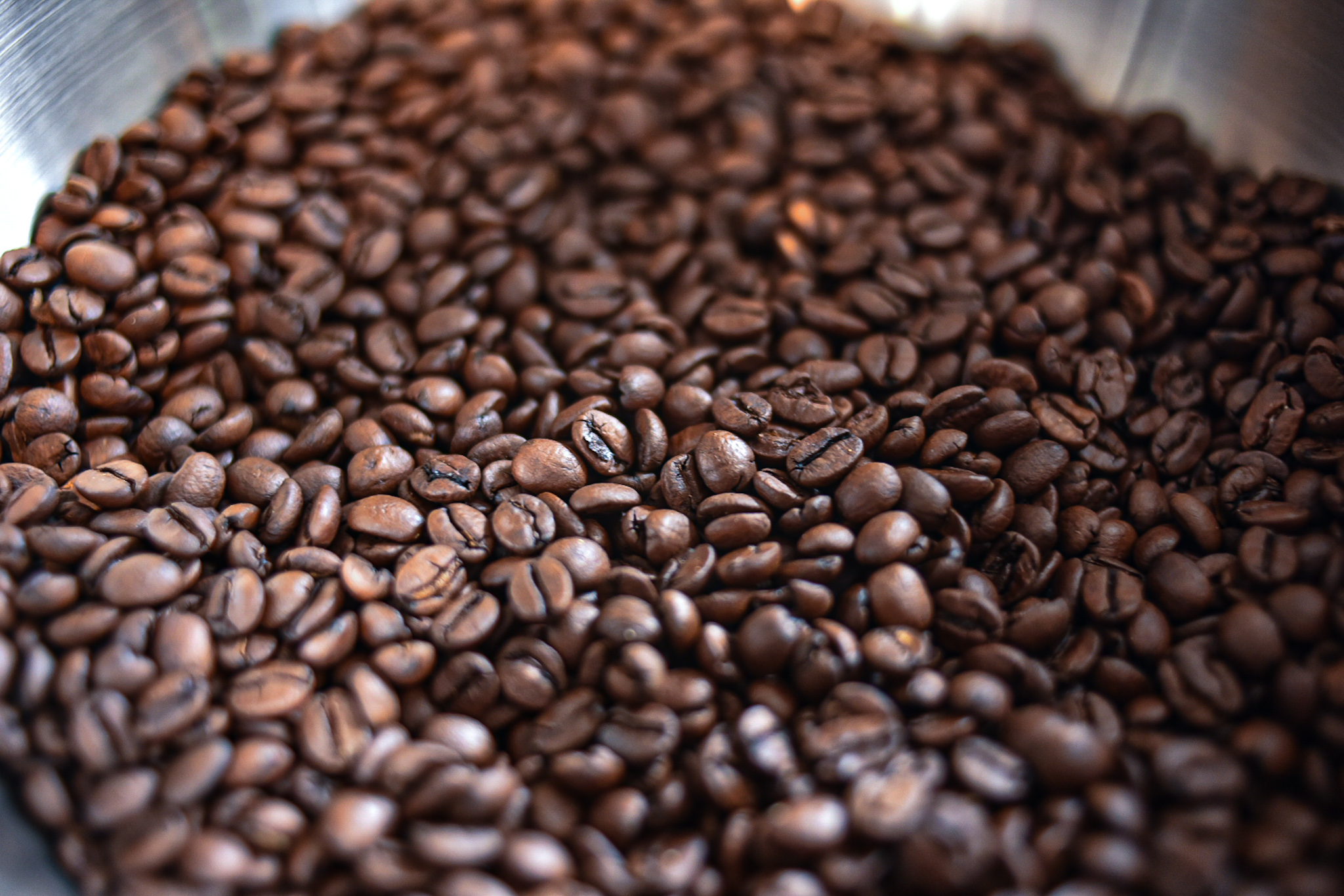 コーヒー 自家焙煎 コーヒー豆 (豆のまま) オリジナルブレンド 100g 約10杯分 rear coffee 