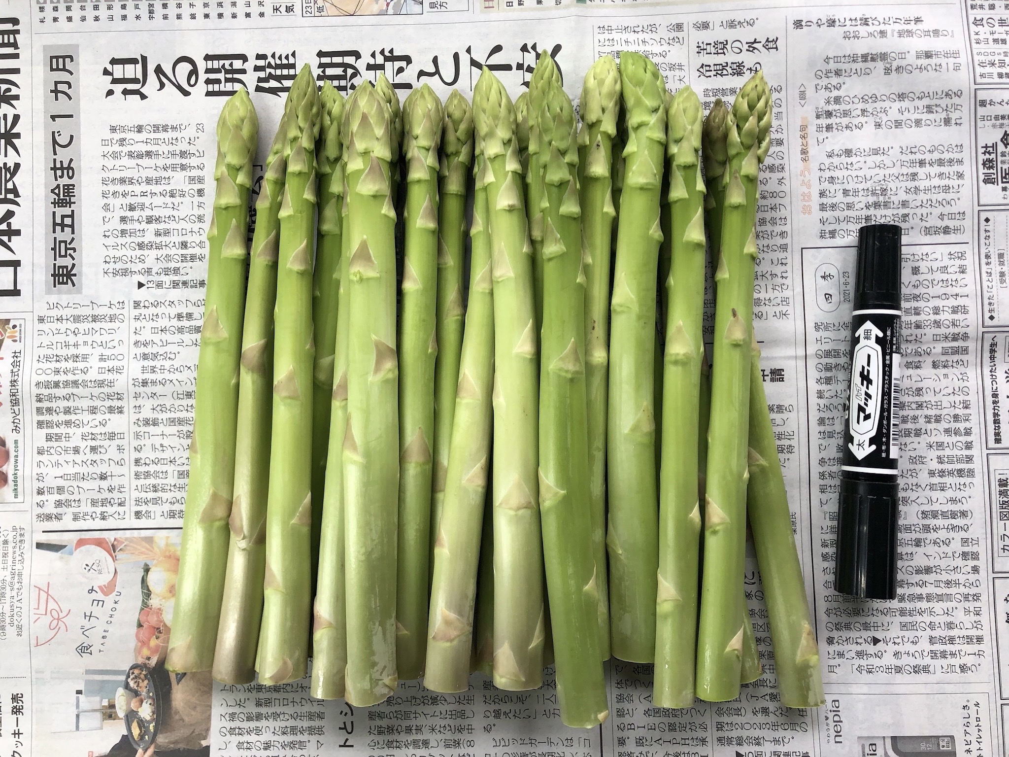 アスパラ 伊那市産 アスパラガス 約1kg Lサイズ 約30本 | 野菜 アスパラガス 焼く 茹でる だけで 主役級 伊那市 長野県 ふるさと納税 【013-49】