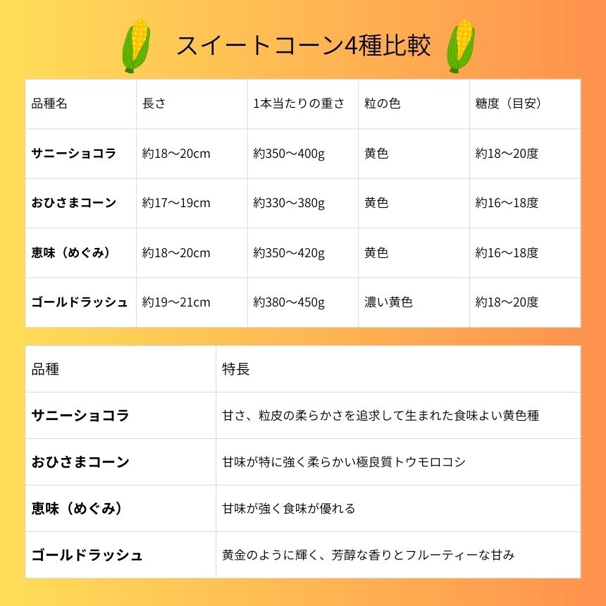 とうもろこし 伊那市産 スイートコーン 約5kg 2Lサイズ 12本入り サニーショコラ 【013-50】