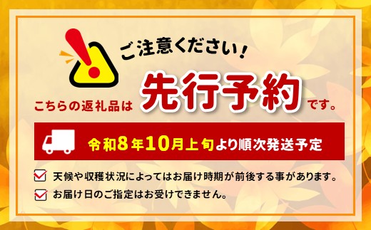 【2026年先行予約】信州伊那産ぶどう３種食べ比べセット（約1.5kg）シャインマスカット　クイーンルージュ(R)　雄宝｜ぶどう ぶどう詰合せ 葡萄 セット ぶどう食べ比べ 2種セット シャインマスカット クイーンルージュ 雄宝 種なし ぶどう高級 フルーツ ギフト フルーツ 旬のフルーツ 伊那市 長野県産 【024-18】