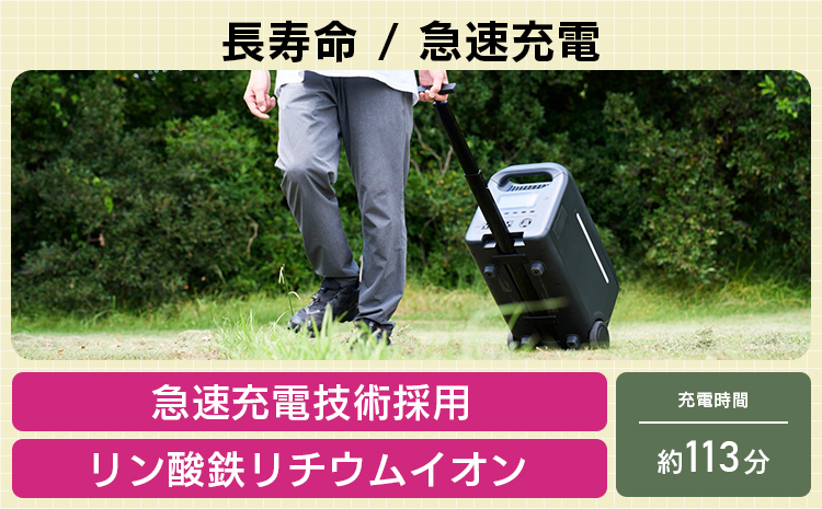 【810-01】ロジテック ポータブル電源 2500P 容量 2560Wh AC出力 2500W【DE-PS2500PLBK】