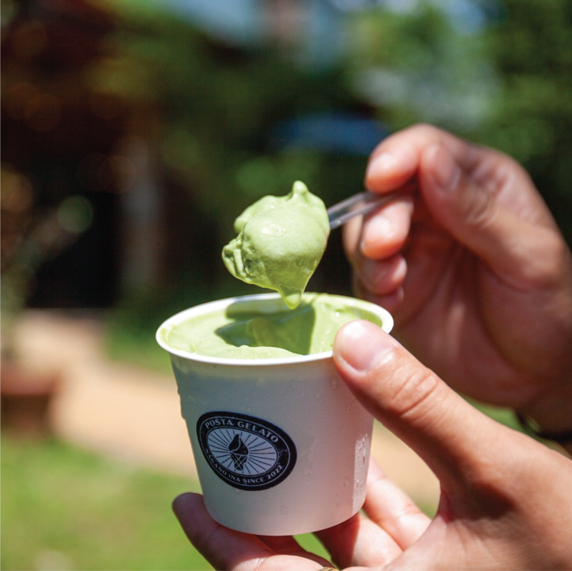 伊那 ご当地 人気 ジェラート 季節のおすすめ 130ml×8個セット（ミルク×1個、チョコレート×1個、宇治抹茶×1個、ココナッツパイン×1個他、季節のおすすめでランダム×4個）｜ジェラート アイス ご当地ジェラート 伊那ジェラート 伊那スイーツ 長野ジェラート 信州ジェラート 人気スイーツ 伊那 ふるさと納税【015-29】