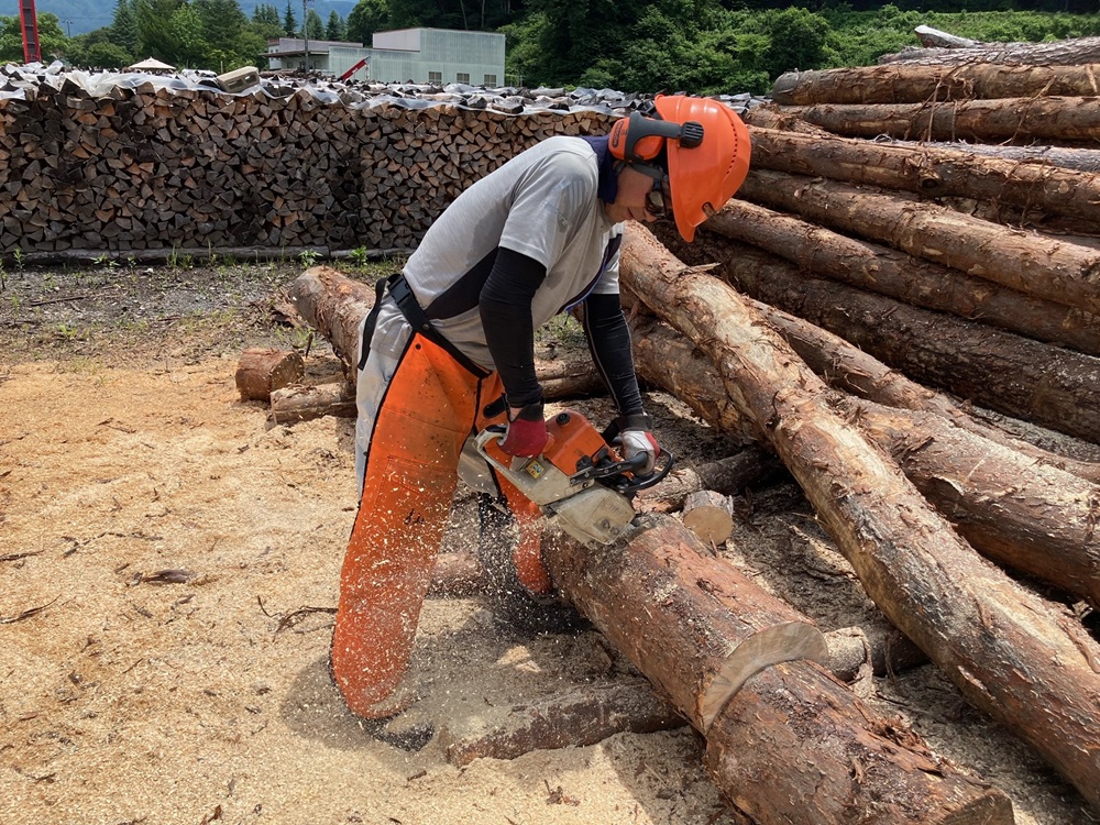 èª ä¹Ÿç¥ ã» ãã© èª 40cm ïŒ 20kg à 2ç®± ã»ãã ïŒã017-12ã| ãã£ãŒãšã«ãã£ãŒ dld èª èªç¶ä¹Ÿç¥ ãã䜿ãã å€ªå² çµæç¡ é·ã 40cm èªã¹ããŒã äŒé£åž é·éç ä¿¡å·