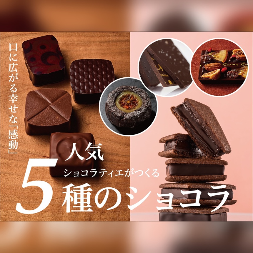 チョコレート ショコラ 詰め合わせ ギフト ガトーショコラ 塩チョコ テラコッタ 板チョコ ボンボンショコラ ｜ スイーツ チョコレート ショコラ ドルチェカリーナ パティシエ 人気 詰め合わせ セット 洋菓子 長野県 伊那市 【016-17】