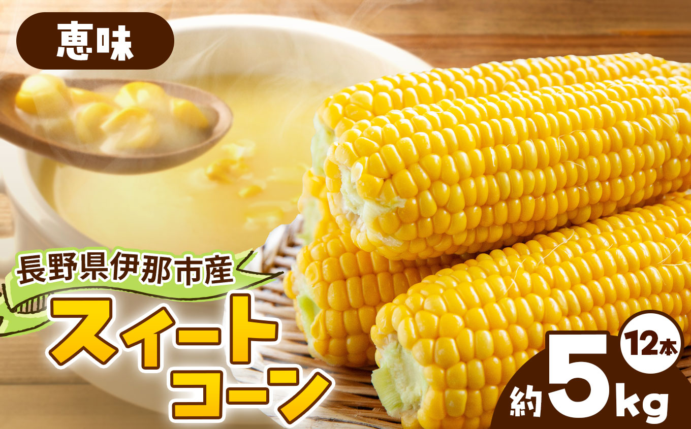 とうもろこし 伊那市産 スイートコーン 約5kg 2Lサイズ 12本入り 恵味 【013-52】