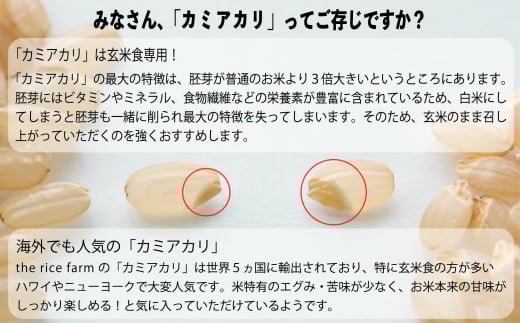 【幻の玄米】　自然栽培　カミアカリ　玄米甘酒　750ｇ｜玄米 お米 米 カミアカリ 甘酒 飲料 健康 南アルプス 伊那 ふるさと納税【009-49】　