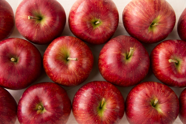 先行受付 令和8年産 有機肥料栽培 りんご ふじ 約5kg｜伊那 りんご ふじ フルーツ 果物 甘い 農園 林檎 ふるさと納税 長野県【011-05】