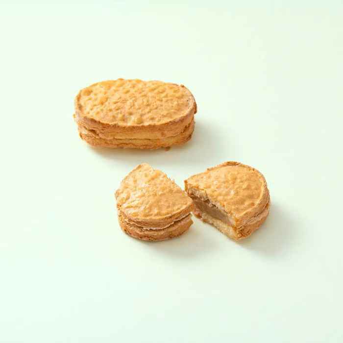 菓子 故郷の思い出 銘菓詰合せ1 ｜ 伊那 ふるさと納税 故郷 洋菓子 甘い 創業 老舗 思い出 オリジナル おやつ お菓子 信州【025-32】