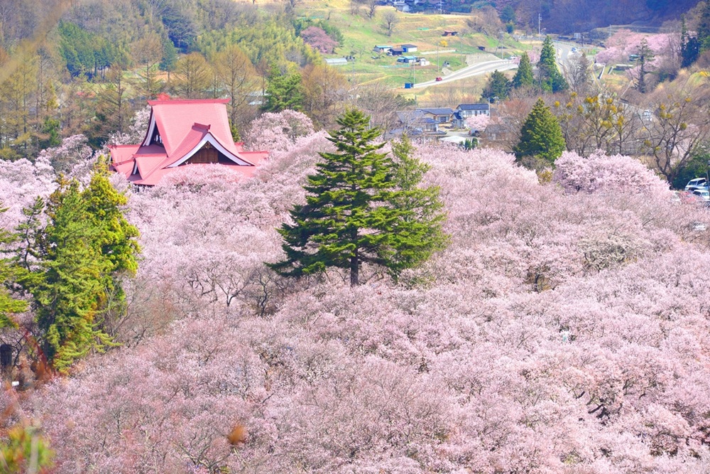 æ¡ ãã±ãã é«é ååå
¬å æ¡ãŸã€ãå
¥ååž 1æ ïœ èŠ³å
ãã±ãã é«é åå å
¬å æ¡ ãŸã€ã ããã ç¥ã å
¥ååž äŒé£åž é·éç ä¿¡å· åž°ç æ¥ã002-01ã