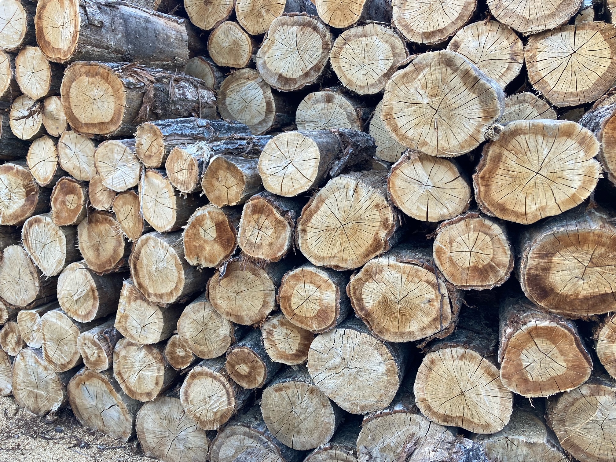 èª ä¹Ÿç¥ ã» ãã© èª 30cm ïŒ 20kg à 2ç®± ã»ãã ïŒã020-42ã| ãã£ãŒãšã«ãã£ãŒ dld èª èªç¶ä¹Ÿç¥ ãã䜿ãã å€ªå² çµæç¡ é·ã 30cm èªã¹ããŒã äŒé£åž é·éç ä¿¡å·