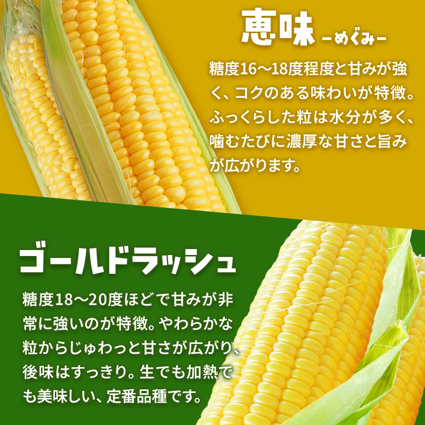 とうもろこし 伊那市産 スイートコーン 約5kg 2Lサイズ 12本入り ゴールドラッシュ 【013-53】