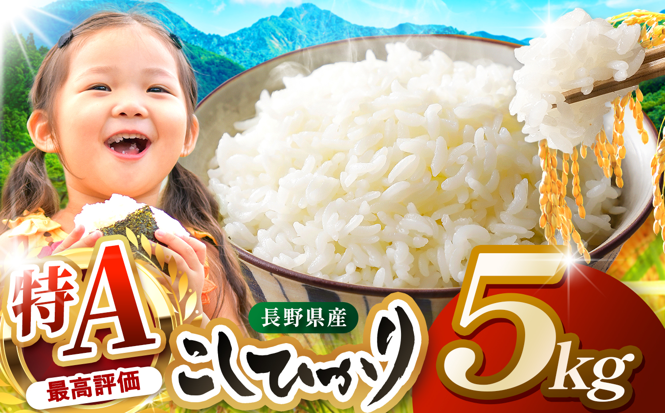米 5kg  コシヒカリ 令和7年産 JA上伊那 コシヒカリ 今ずり米 5kg  長野 上伊那産 お米 長野県産 こしひかり 5キロ 白米 精米 信州産 特産 産地直送 おすすめ こめ コメ おこめ 送料無料 長野県 伊那市 【017-24】