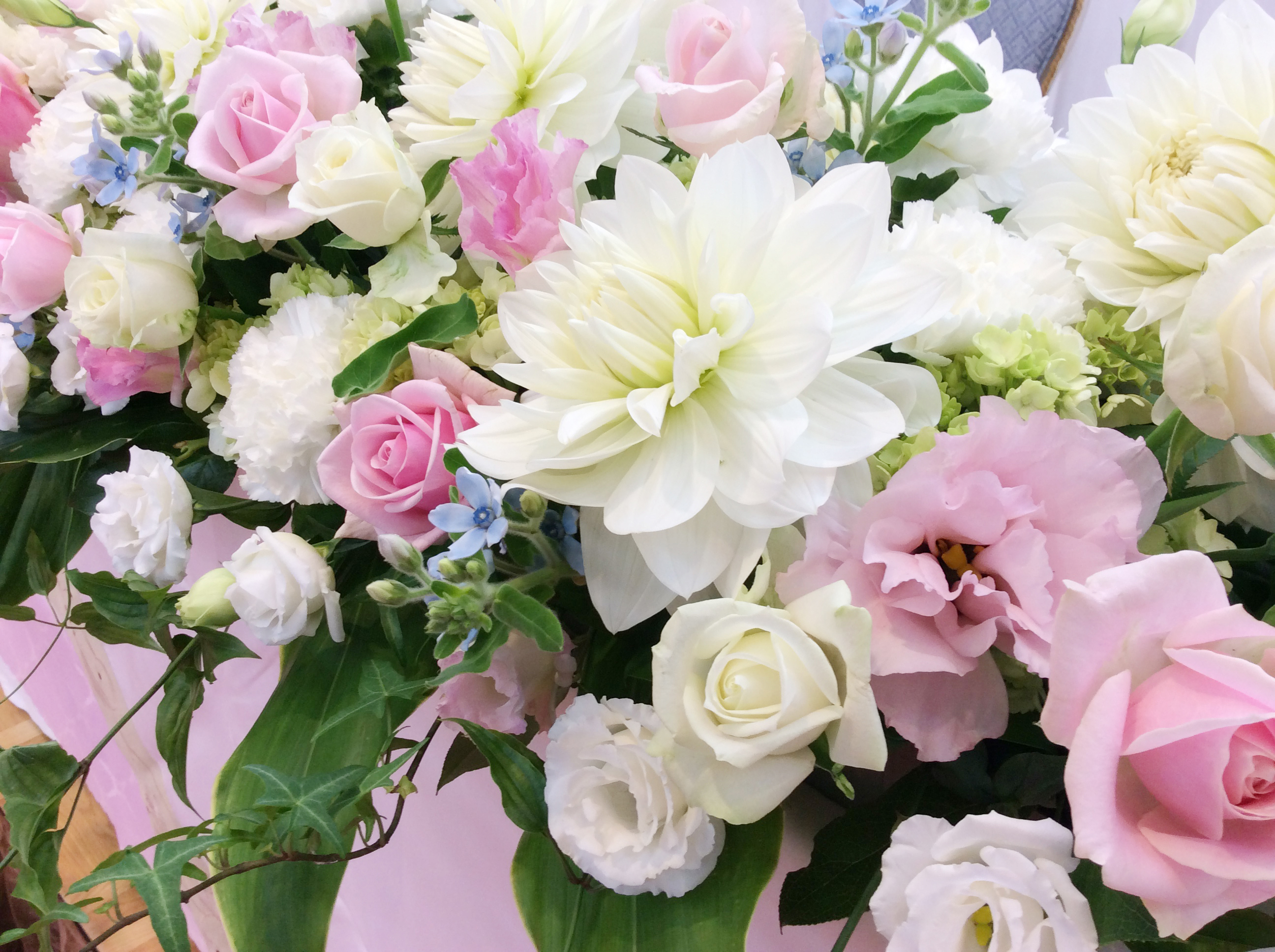 ãã©ã¯ãŒã¢ã¬ã³ãžã®å®æäŸ¿ïŒã®ããã«ãïŒè±ç£å°äŒé£ããå
šåœãžã6ã¶æïœãã©ã¯ãŒã¢ã¬ã³ãž äŒé£ è± ã®ãã ãã¬ãŒã³ã ã¯ãª è¯ãã åå£ ä¿¡å· ãµãããšçŽçšã120-02ã