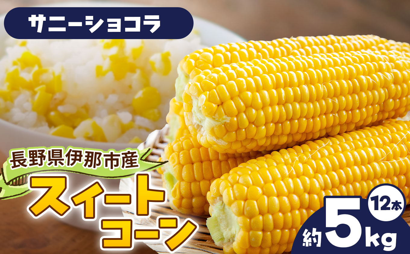 とうもろこし 伊那市産 スイートコーン 約5kg 2Lサイズ 12本入り サニーショコラ 【013-50】