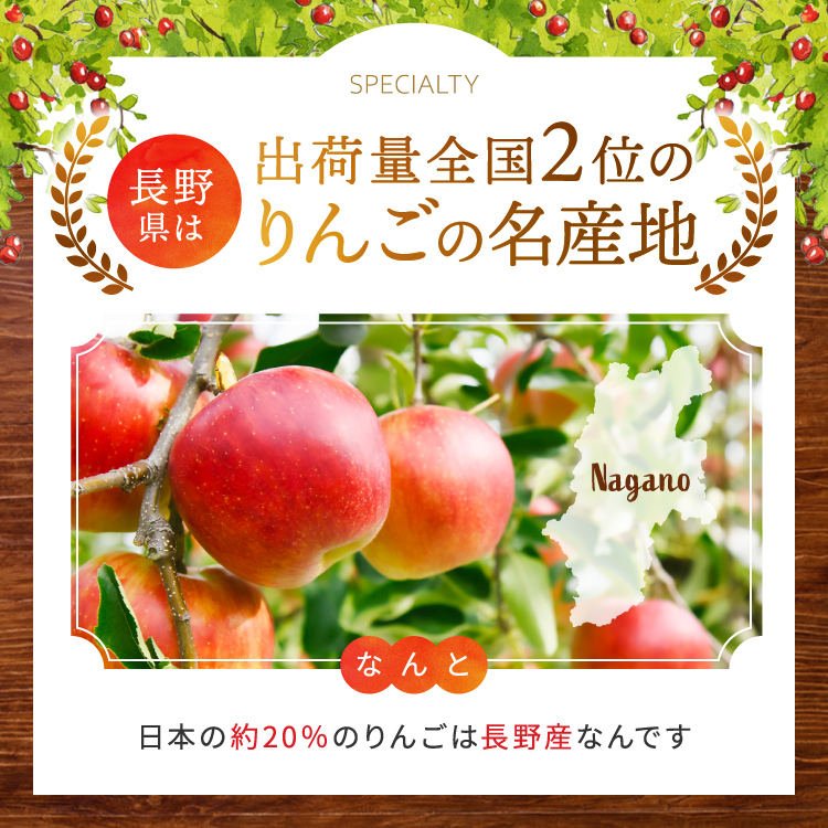 先行受付 令和8年産 有機肥料栽培 りんご ふじ 約5kg｜伊那 りんご ふじ フルーツ 果物 甘い 農園 林檎 ふるさと納税 長野県【011-05】