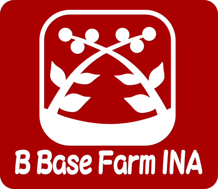 ブルーベリー 食べ比べ 品種 お任せ 100g×8パック B Base Farm伊那 | ブルーベリー フルーツ 国産ブルーベリー 果物 完熟 大粒 甘い 新鮮 食べ比べ 品種豊富 長野県産 長野県 信州 伊那市 【014-57】