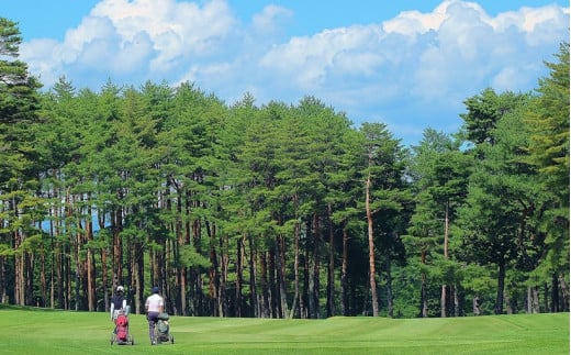 ゴルフ チケット 信州伊那国際ゴルフクラブ ゴルフ場利用補助券 1,000円×9枚 | ゴルフ チケット 補助券 長野 伊那市 信州 長野県 【030-19】