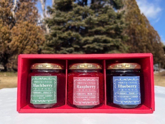 ジャム ベリー 信州 伊那産 ベリージャム 200g 3種 （ ラズベリー ・ ブラックベリー ・ ブルーベリー ）| フルーツ ジャム ラズベリー ブラックベリー ブルーベリー 完熟 つみたて 加工品 長野県 伊那市【011-89】
