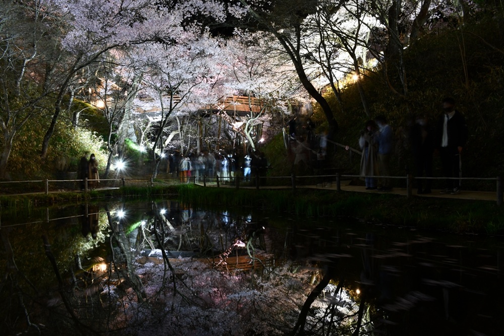 æ¡ ãã±ãã é«é ååå
¬å æ¡ãŸã€ãå
¥ååž 1æ ïœ èŠ³å
ãã±ãã é«é åå å
¬å æ¡ ãŸã€ã ããã ç¥ã å
¥ååž äŒé£åž é·éç ä¿¡å· åž°ç æ¥ã002-01ã