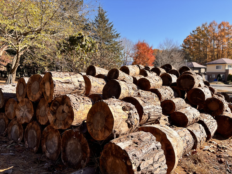 信州伊那谷産　松の薪　（焚き付け用）1箱　4束入り　２５ｋｇ相当×３箱｜松の薪 焚き付け 長野県 伊那市 キャンプ BBQ アウトドア【024-14】