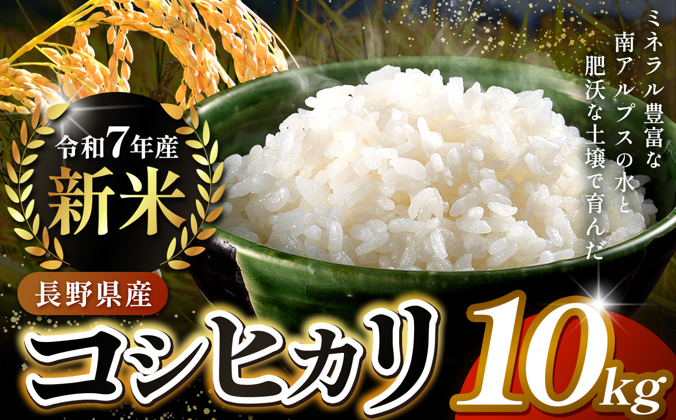 信州伊那産　令和７年度　伊那市田原産米　コシヒカリ　10キロ ｜ 米 コシヒカリ 田原産 お米 伊那 伊那産 長野県 ふるさと納税 【027-17】