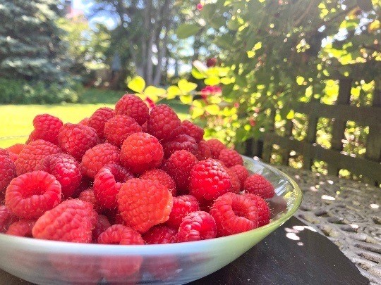 ジャム ベリー 信州 伊那産 完熟 ラズベリー ジャム 200g2個 セット | フルーツ ジャム ソース ラズベリー 完熟 つみたて 加工品 長野県 伊那市【009-45】