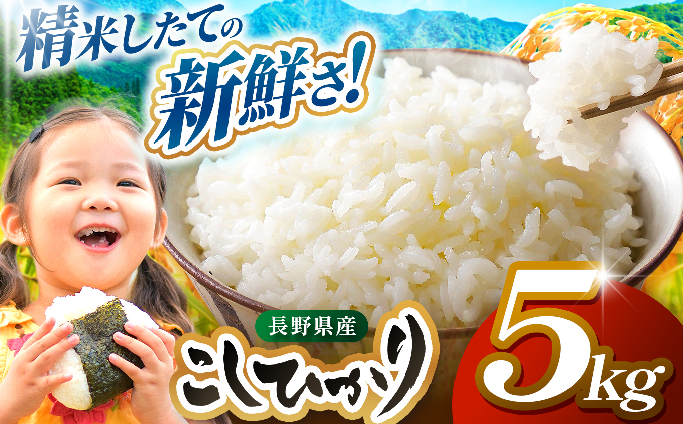 米 5kg  コシヒカリ 令和7年産 JA上伊那 コシヒカリ 今ずり米 5kg  長野 上伊那産 お米 長野県産 こしひかり 5キロ 白米 精米 信州産 特産 産地直送 おすすめ こめ コメ おこめ 送料無料 長野県 伊那市 【017-24】