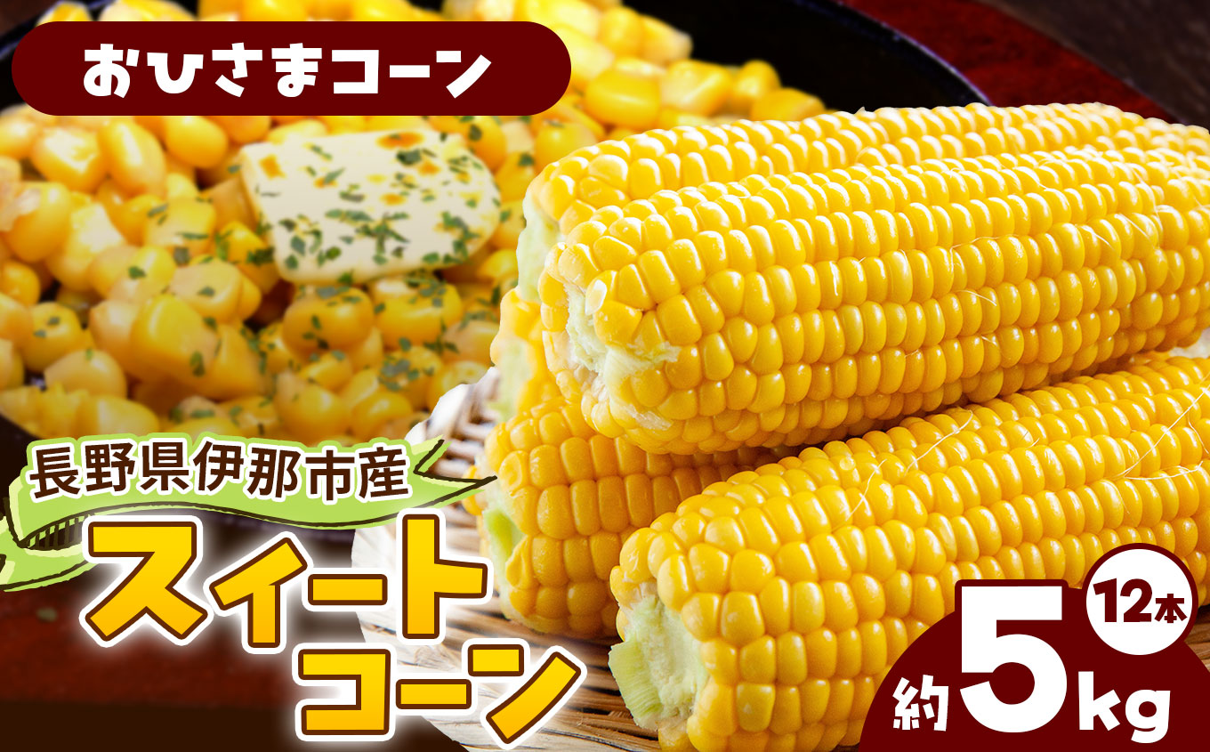 とうもろこし 伊那市産 スイートコーン 約5kg 2Lサイズ 12本入り おひさまコーン 【013-51】