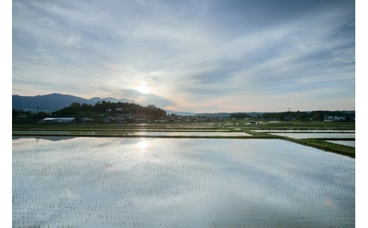 日本酒 井乃頭　純米吟醸　火入れ　R6BY（ 吟醸酒 ）720ml 1本｜長野県産 日本酒 ひとごこち 地酒 地元限定酒 ふるさと納税 晩酌 アルコール 伊那市 ふるさと納税【011-93】