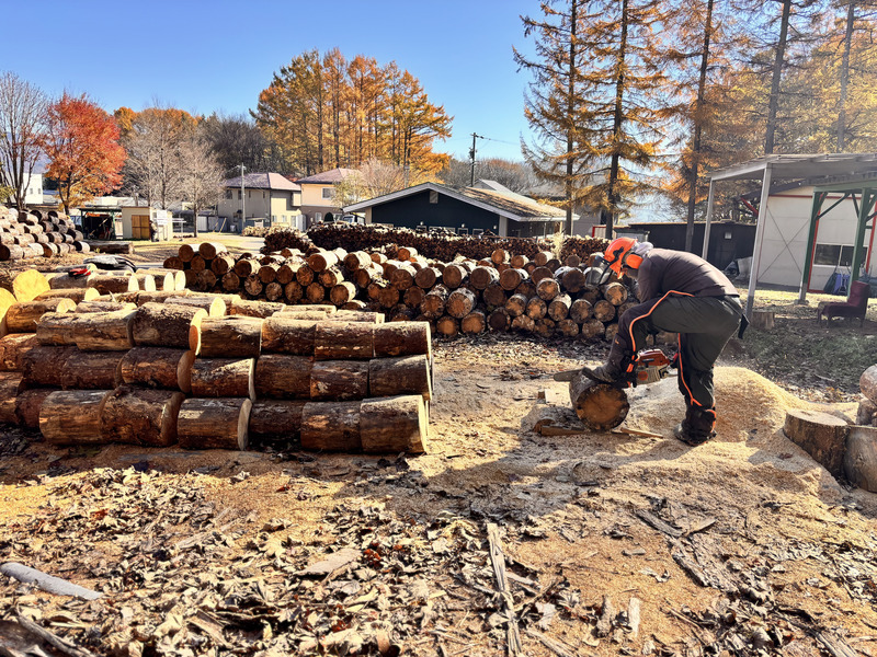 ä¿¡å·ç£çãä»ãçšèª ã«ã©ãã«ã§ã³ãã³ãããçç«å€ä»ãïŒ6åå
¥ïŒçŽ6kg ïŒçŽ3kgÃ2ç®±ïŒ ïœé·éç äŒé£åž ä¿¡å· èª çãä»ãçš çç«å€ä»ã ãã£ã³ã BBQ ã¢ãŠããã¢ã006-10ã