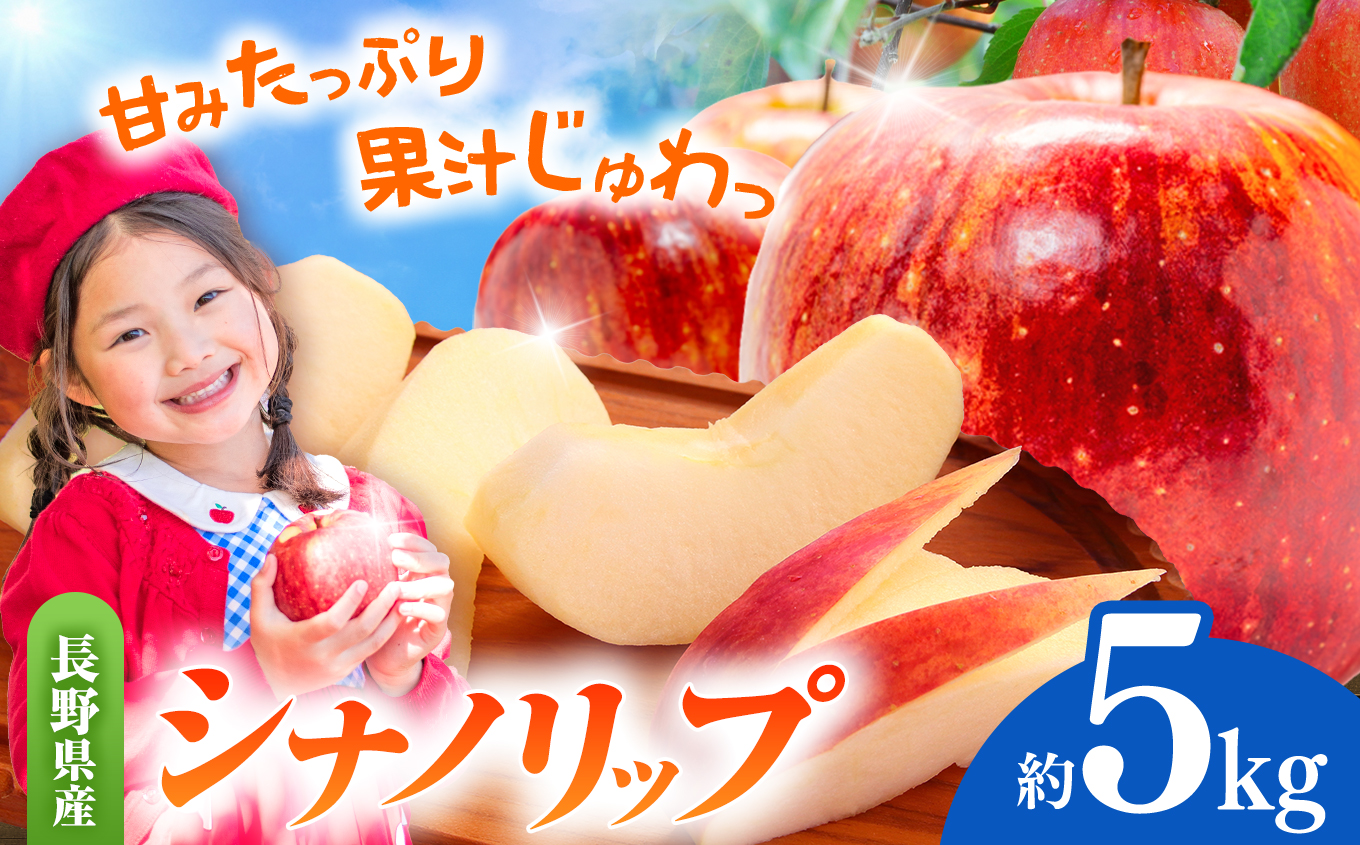 先行受付 令和8年度産 シナノリップ（夏りんご）　5kg｜シナノリップ りんご 林檎 夏りんご 先行受付 甘い 果物 フルーツ【012-35】