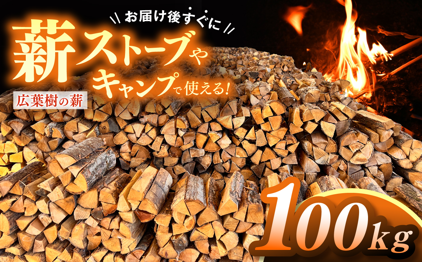 薪 信州産 広葉樹の薪 薪1箱 約20キロ×5箱 合計100キロ 薪長さ：35cm【041-03】