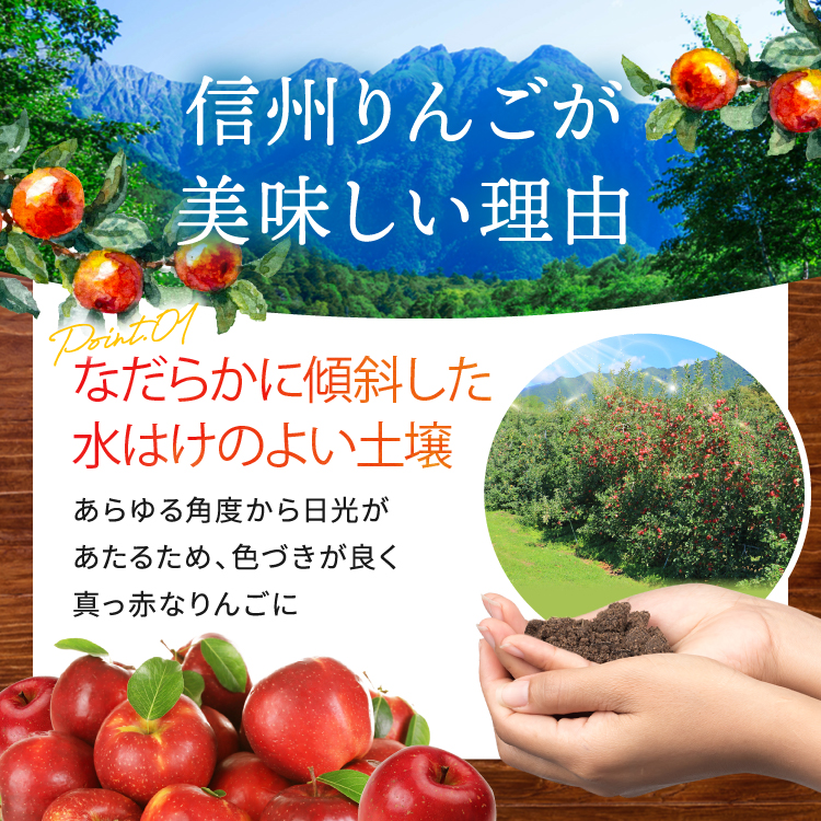 りんご シナノリップ 信州産の夏りんご 美味しさNO.1 さわやかな酸味 シナノリップ 約4kg | 果物 フルーツ 林檎 りんご シナノリップ 長野県 オリジナル 品種 伊那市 【012-64】