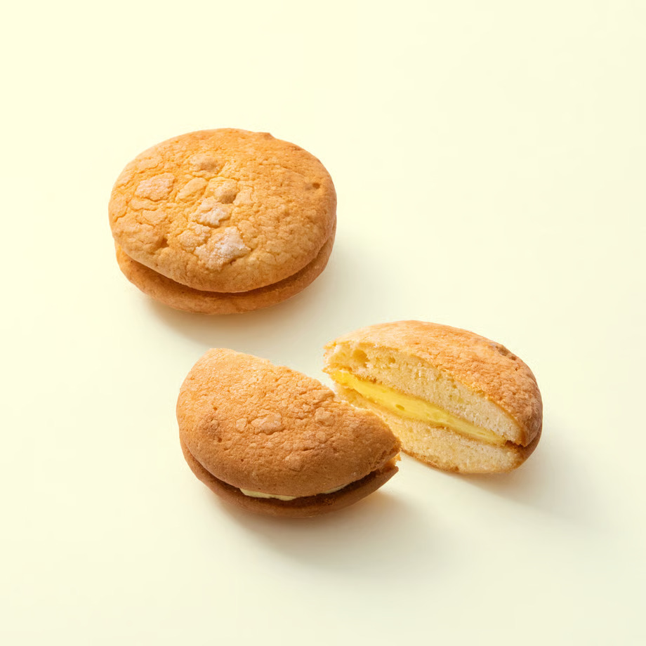 菓子 故郷の思い出 銘菓詰合せ1 ｜ 伊那 ふるさと納税 故郷 洋菓子 甘い 創業 老舗 思い出 オリジナル おやつ お菓子 信州【025-32】
