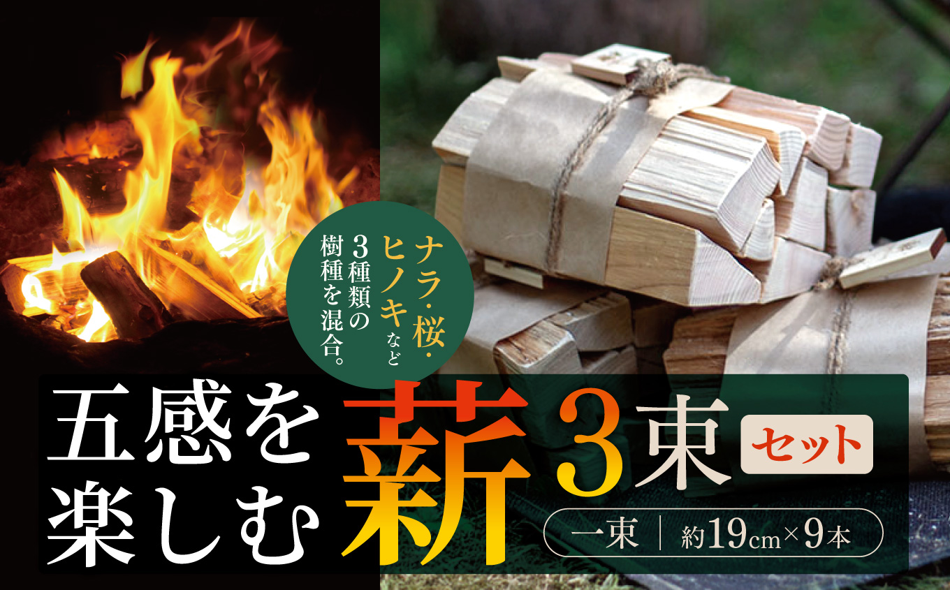五感を楽しむ薪　3束セット| 薪 まき 焚き火 キャンプ アウトドア 薪ストーブ 暖房 燃料 火起こし 自然エネルギー 伊那市 長野県 信州【015-39】