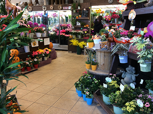 フラワーアレンジ（ギフトにも）花産地伊那から全国へ｜フラワーアレンジ 伊那 花 ギフト プレゼント はな 華やか 四季 信州 ふるさと納税【020-18】